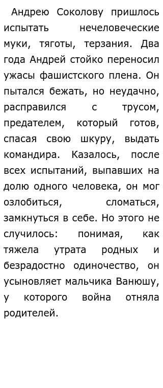 Сочинение по теме Ты навсегда в ответе за тех, кого приручил