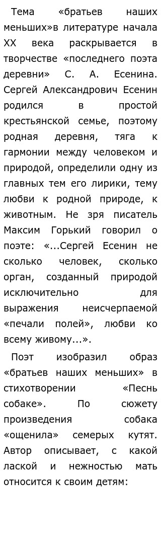 Эссе Люди В Образе Животных Эссе Люди В Образе Животных